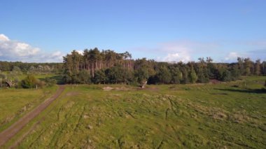 panorama overview drone of horses pasture field brandenburg havelland Germany at summer sunset 2022. High Quality 4k Cinematic footage