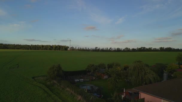 Boom Sliding Right Drone Pasture Field Brandenburg Havelland Germany Summer — Stock video