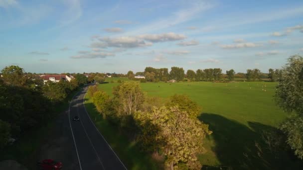 Panorama Overview Drone Pasture Field Brandenburg Havelland Germany Summer 2022 — Wideo stockowe