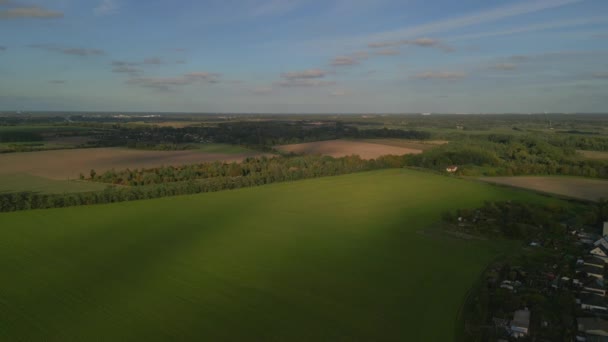 Descending Drone Pasture Field Brandenburg Havelland Germany Summer 2022 High — 비디오