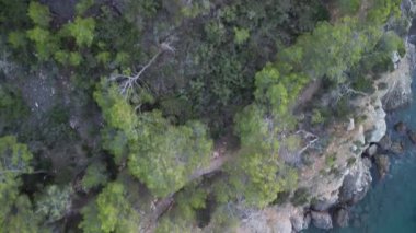 Dikey kuşların gözü İbiza İspanya 'daki Cala Benirras plajında, 2022 akşam batımında. Yüksek Kaliteli 4k Sinematik Görüntüler