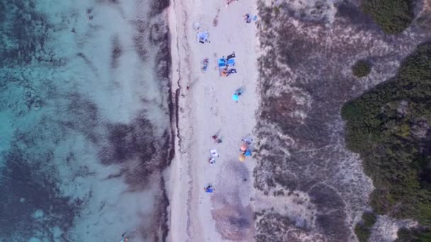 Vertical Birds Eye View Drone Beach Formentera Island Ibiza Spain — Vídeos de Stock