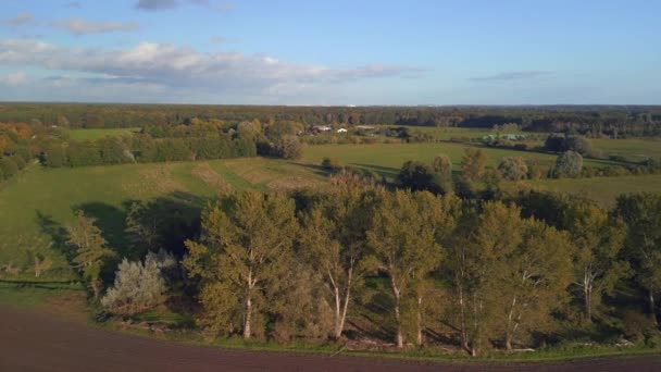 Panorama Overview Drone Tractor Autumn Field Brandenburg Havelland Germany Summer — Vídeos de Stock