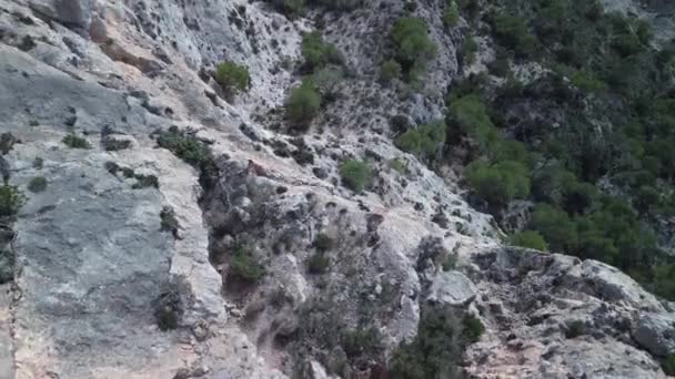 Vertical Birds Eye View Drone Ibiza Hike Island Vedra Sunny — Stock Video