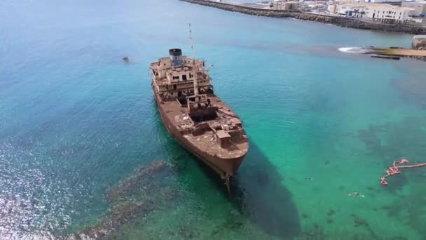 Wide Orbit Overview Drone Shipwreck Beach Lanzarote Canary Islands Sunny — Wideo stockowe