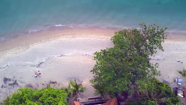 Vertical Birds Eye View Drone White Sand Beach Koh Chang — Vídeo de Stock