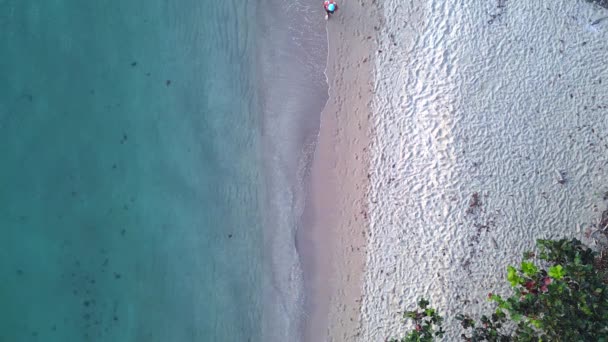 Vertical Birds Eye View Drone White Sand Beach Koh Chang — Video