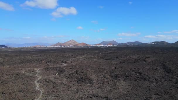 Descending Drone Lava Field Lanzarote Canary Islands Sunny Day Spain — Stock video