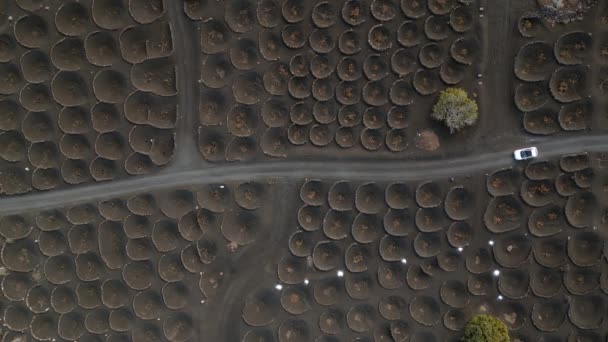 垂直鸟瞰无人驾驶兰萨罗特加那利群岛西班牙 阳光明媚的2023天 优质4K电影胶片 — 图库视频影像