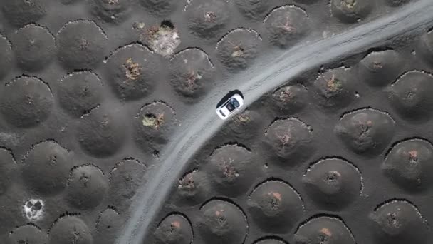 Белый Автомобиль Черной Вулканической Пепельной Дороге Виньярде Лароте Канарские Острова — стоковое видео