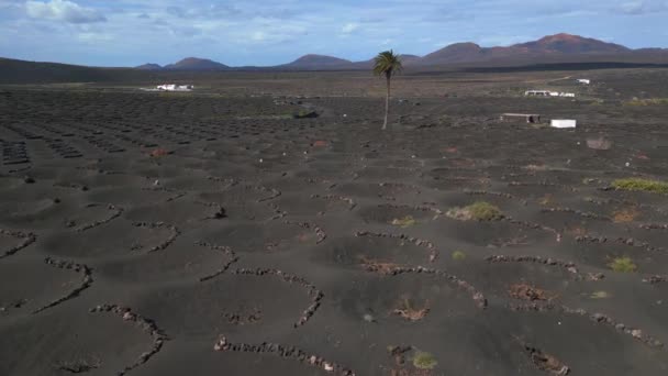 Швидкість Обвалу Гіперлапс Чорний Вулканічний Попіл Островах Лансароте Іспанія Сонячний — стокове відео
