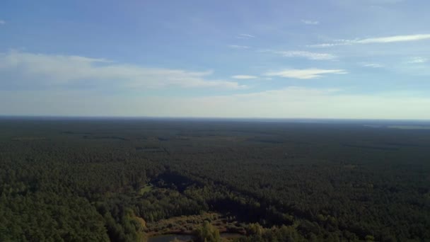 Rotación Derecha Drone Alemania Soleado Día Verano 2022 Imágenes Cinematográficas — Vídeo de stock