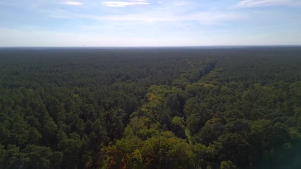 Panorama Genel Bakış Pisti Oval Saha Almanya Güneşli Yaz Günü — Stok video