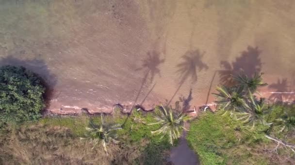 Vertical Birds Eye View Drone Natural Beach Koh Chang Island — Stock Video