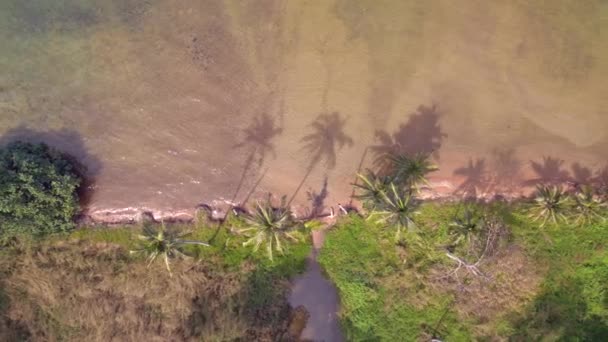Вертикальные Птицы Видом Беспилотник Естественный Пляж Острове Чанг Таиланд Солнечный — стоковое видео