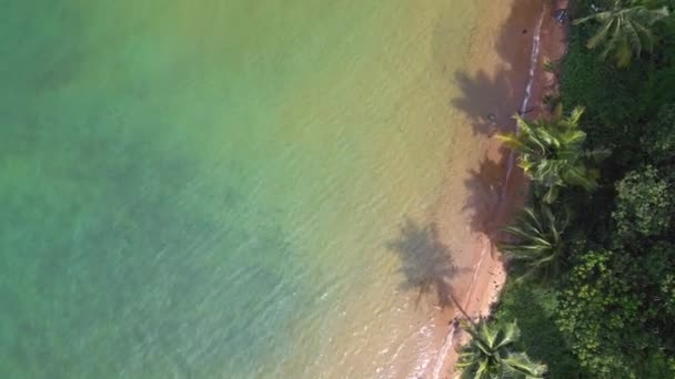 Vertical Birds Eye View Drone Natural Beach Koh Chang Island — 비디오