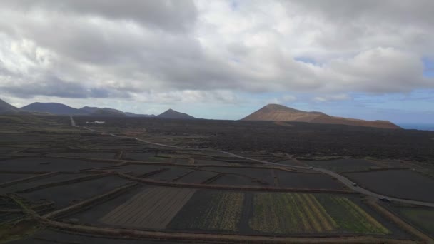 Fly Reverse Drone Black Volcano Ash Track Lava Field Canary — Stockvideo