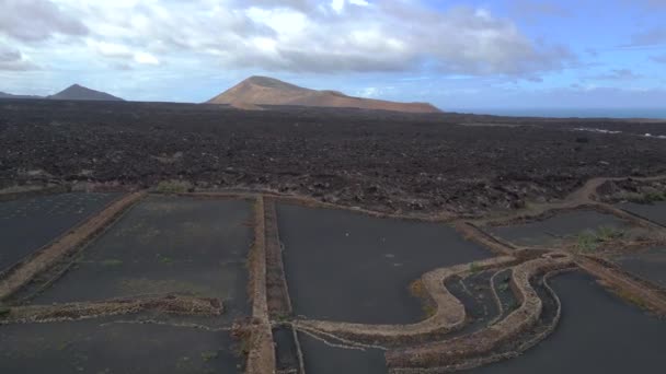 Flyg Tryck Drönaren Svart Vulkan Askspår Lavafält Lanzarote Kanarieöarna Spanien — Stockvideo