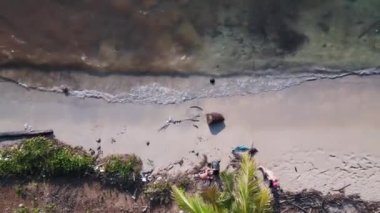 vertical birds eye view drone, koh kood island Thailand sunny day 2022. High Quality 4k Cinematic footage.