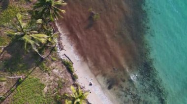 vertical birds eye view drone, koh kood island Thailand sunny day 2022. High Quality 4k Cinematic footage.