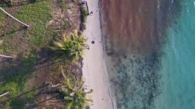 vertical birds eye view drone, koh kood island Thailand sunny day 2022. High Quality 4k Cinematic footage.