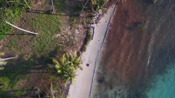 Vertical Birds Eye View Drone Koh Kood Island Tailandia Sunny — Vídeo de stock