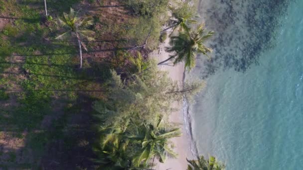 Vertical Birds Eye View Drone Koh Kood Island Thailand Sunny — Stock Video