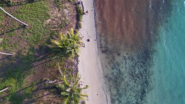 Vertical Birds Eye View Drone Koh Kood Island Thailand Sunny — 비디오