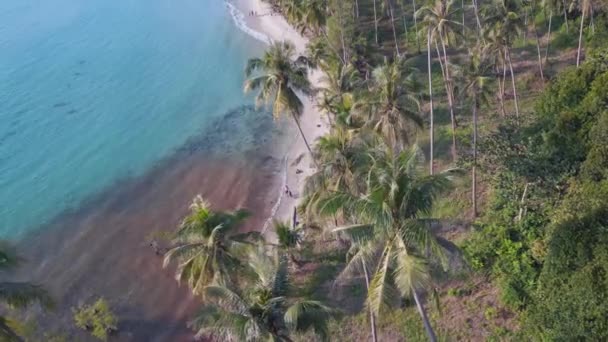 Беспилотник Сверху Вниз Вид Остров Куд Таиланд Солнечный День 2022 — стоковое видео
