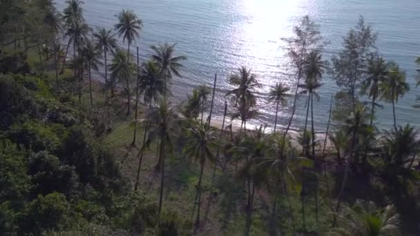 Отслеживание Выстрел Сверху Дрона Куд Острова Таиланд Солнечный День 2022 — стоковое видео