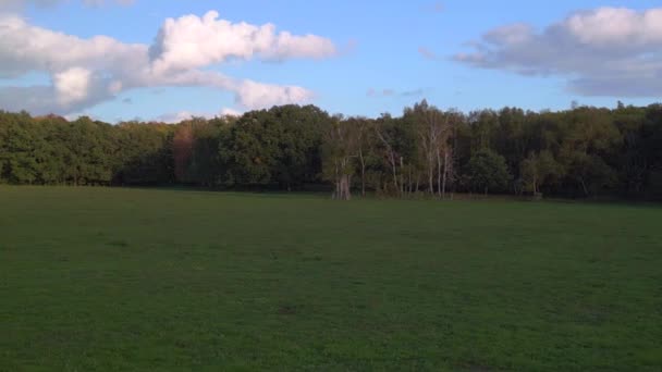 Boom Sliding Left Drone Pasture Meadow Field Brandenburg Havelland Germany — Vídeo de stock