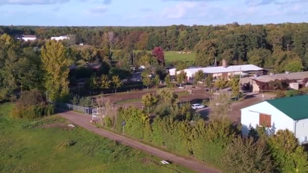 Panorama Orbit Drone Horse Farm Paddock Brandenburg Havelland Germany Summer — Stock Video