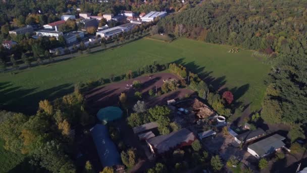 Drone Top View Horse Farm Paddock Brandenburg Havelland Germany Summer — Stockvideo