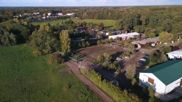 Dron Orbitalny Końskiej Farmy Konnej Brandenburgii Havelland Niemcy Letni Dzień — Wideo stockowe
