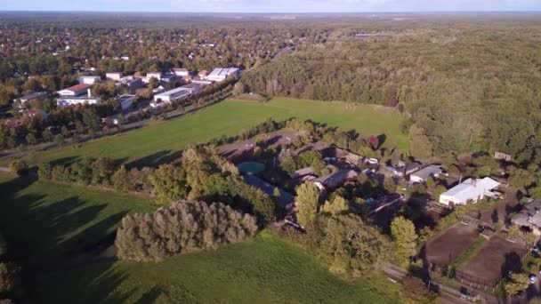 Fly Push Drone Horse Farm Paddock Brandenburg Havelland Germany Summer — Video