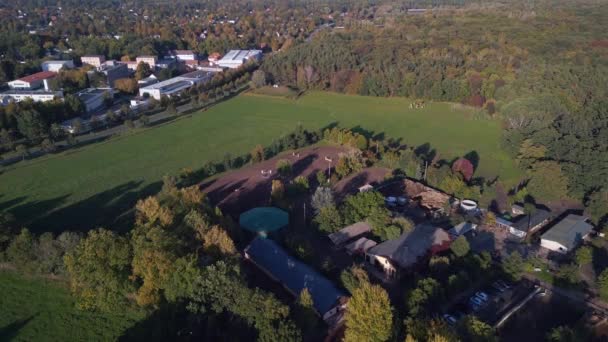 Descending Drone Horse Farm Paddock Brandenburg Summer Day 2022 High — Video