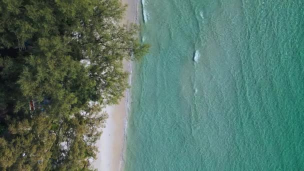 Vertical Birds Eye View Drone White Beach Koh Kood Island — Video Stock