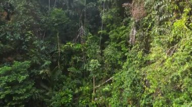 ascending drone of Huang Nam Khiao Waterfall deep in the jungle on island ko kut thailand 2022. High Quality 4k Cinematic footage.