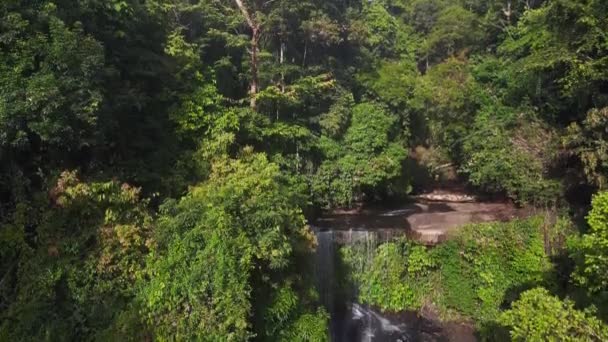 黄南角湾瀑布坠落的无人驾驶飞机深落在科图塔雷岛上的丛林深处 2022年 优质4K电影胶片 — 图库视频影像