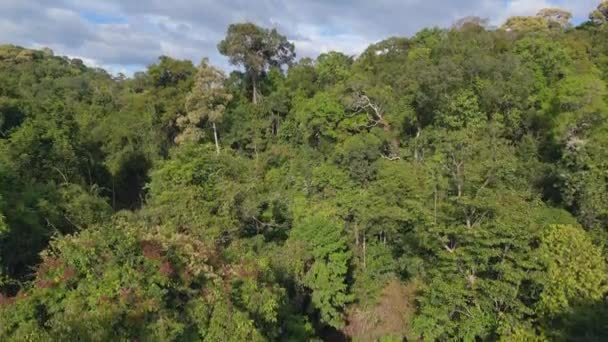 Huang Nam Khiao Şelalesi Nin Panorama Insansız Hava Aracı Ormanın — Stok video