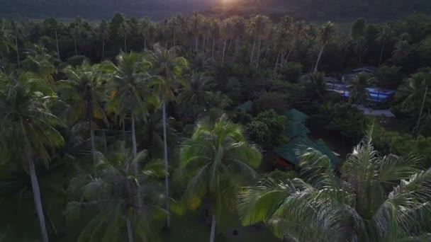 飞机逆向无人驾驶飞机飞越梦想中的海滩 泰国科特岛 早上日出2022 高质量的4K电影胶片 — 图库视频影像