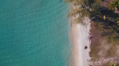 Dikey kuşların göz teması drone koh kood thailand 2022. 4k uhd sinematik çekim.