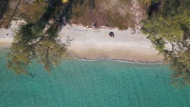 Vertical Birds Eye View Drone Koh Kood Island Secret Beach — Vídeo de stock