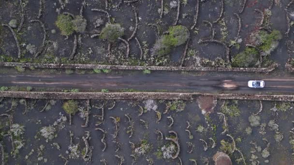 垂直方向の鳥の目のビュードローンLanzarote火山溶岩フィールド農業灰道路 曇りの日2023年 高品質4K Hudシネマティックフッテージ — ストック動画
