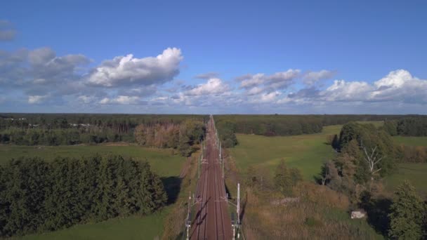 Panoramaübersicht Drohne Feld Wiese Weide Grüne Landschaft Deutschland Herbst 2022 — Stockvideo