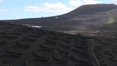 2023 'te, Lanzarote şarabının tersine uçarak La Geria üzüm bağları volkanı yetiştirdi. Yüksek Kalite 4k... Sinematik görüntüler..