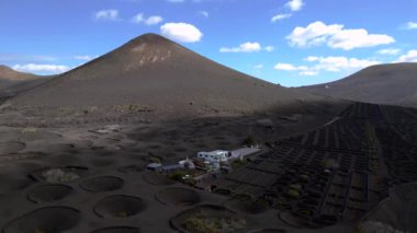 2023 yılında, Lanzarote marka geniş yörünge manzaralı şarap, La Geria üzüm bağlarında volkan yetiştiriyor. Yüksek Kalite 4k... Sinematik görüntüler..