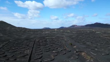 2023 'te, Lanzarote şaraplarının üzerinden uçarak La Geria üzüm bağları volkanı yetiştiriyoruz. Yüksek Kalite 4k... Sinematik görüntüler..