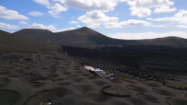 在2023年的La Geria葡萄园火山日 兰萨罗特酒的生长速度减慢了 优质4K Uhd电影胶片 — 图库视频影像