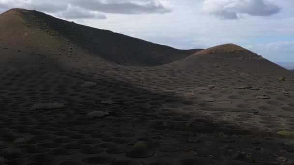 上升的无人驾驶兰萨罗特酒种植拉吉里耶葡萄园火山2023天 优质4K Uhd电影胶片 — 图库视频影像